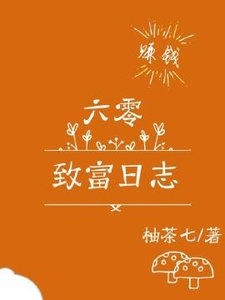 《六零致富日志》