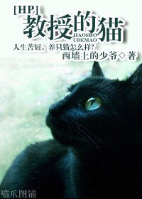 《(HP同人)郸授的猫》