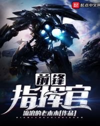 《前锋指挥官》