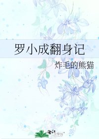 羅小成翻身記